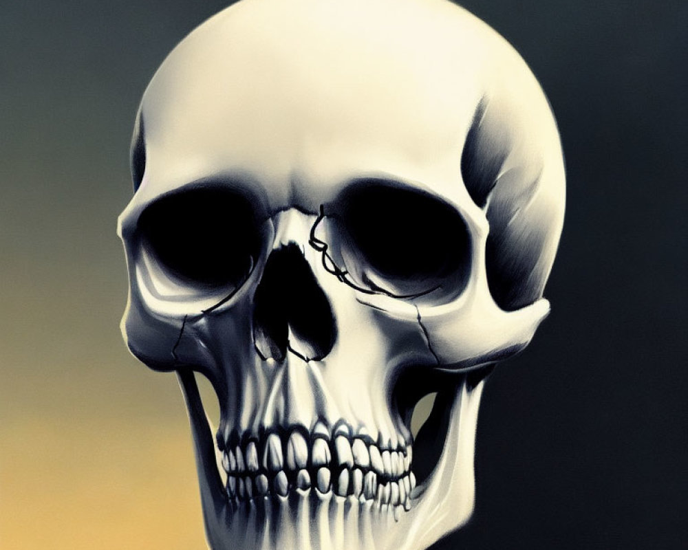 Digital human skull illustration on gradient background.