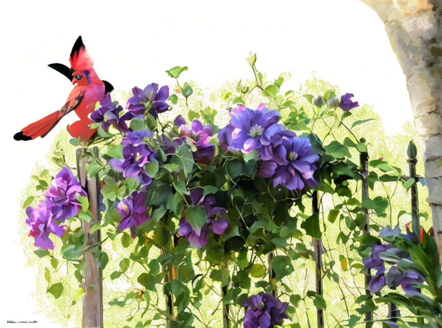 Red cardinal bird on purple flowers with green foliage against muted background