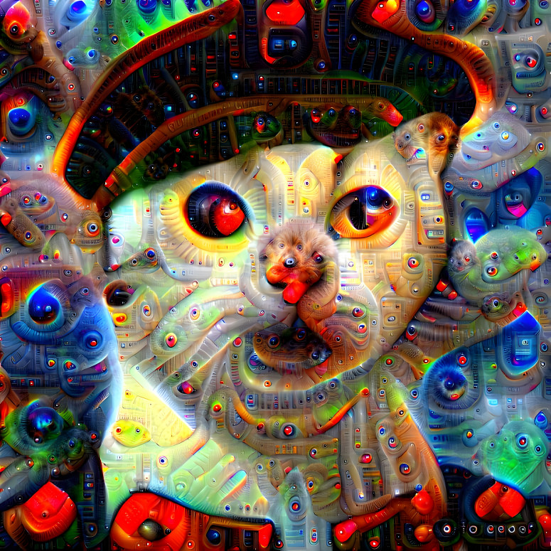 deepdream cat