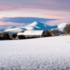 Snowy Landscape with Autumn Trees and Pink Sky at Dawn or Dusk