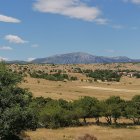 Scenic pastoral landscape with hills, fields, trees, and mountains