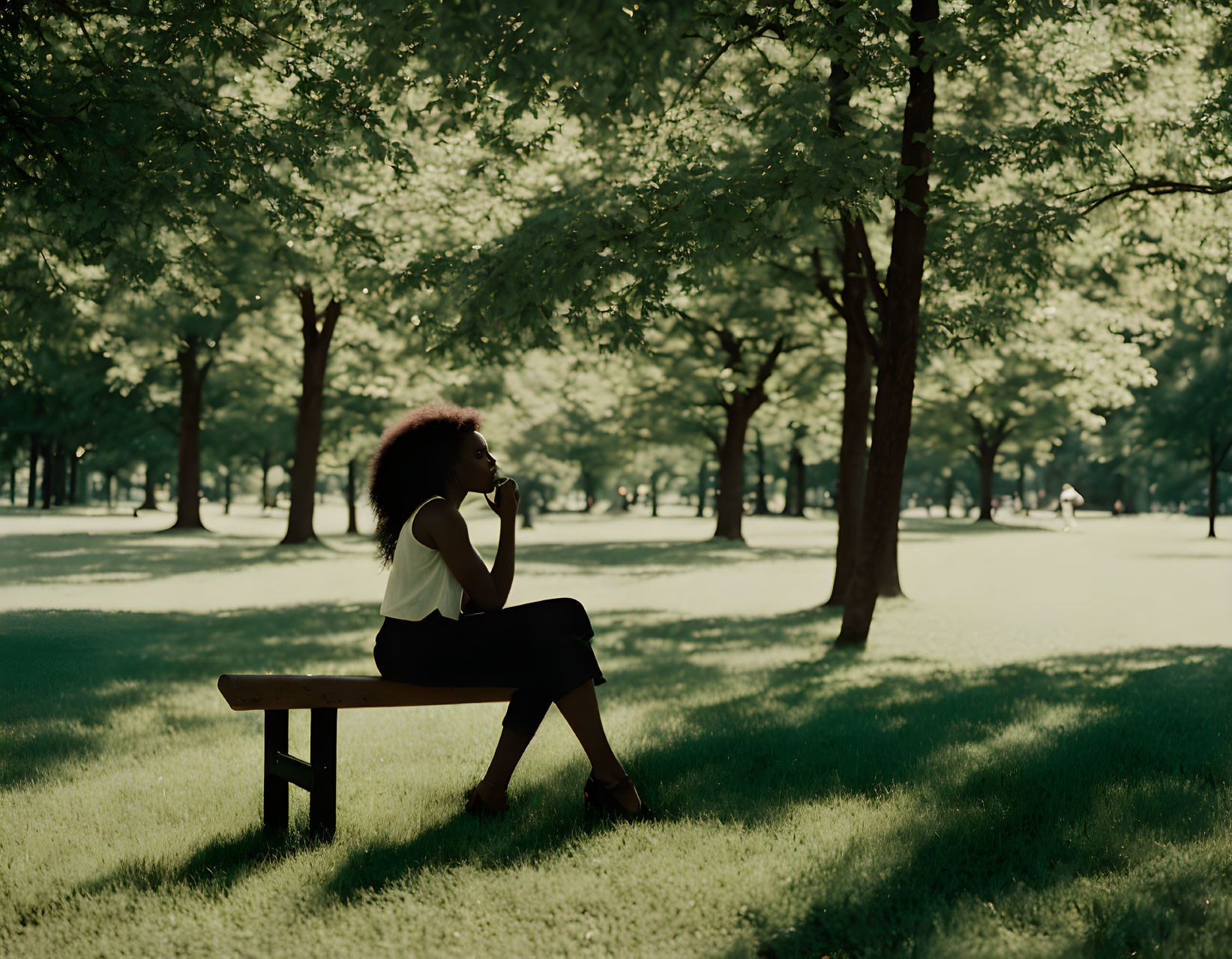 Person sitting on bench in lush park with towering trees