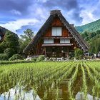 Scenic Asian-style buildings in misty mountain landscape