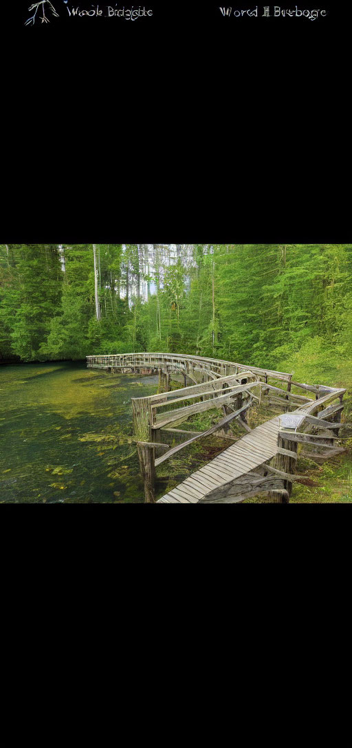 Wooden Boardwalk Through Verdant Forested Wetland