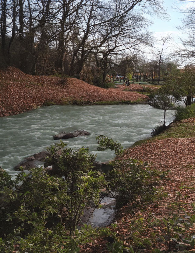 Tranquil Park Scene with Turquoise Stream and Leafy Surroundings