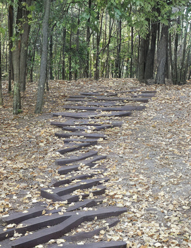 Tranquil forest pathway with wooden steps among fallen leaves