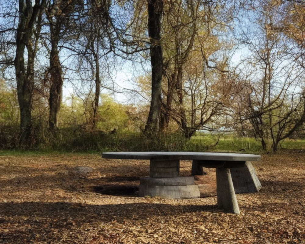 Tranquil park scene with concrete picnic table and fire pit surrounded by fallen leaves