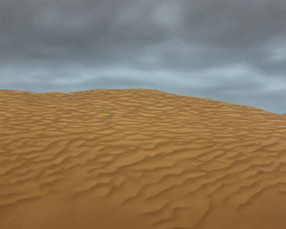 Barren desert landscape: orange sand dunes under overcast sky