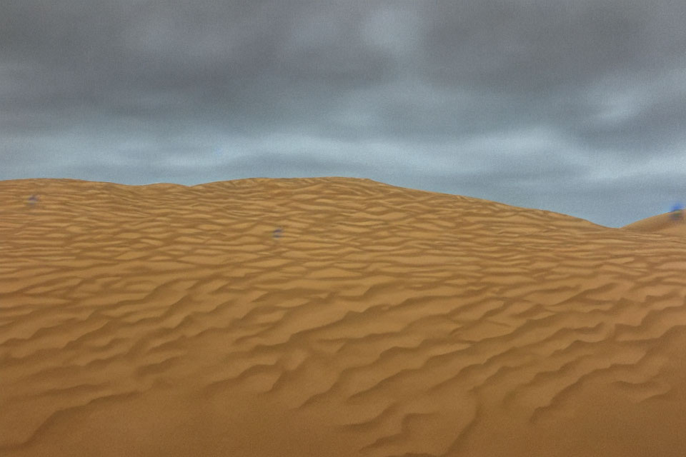 Barren desert landscape: orange sand dunes under overcast sky