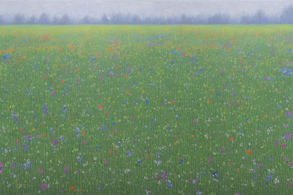 Tranquil wildflower field under misty grey sky