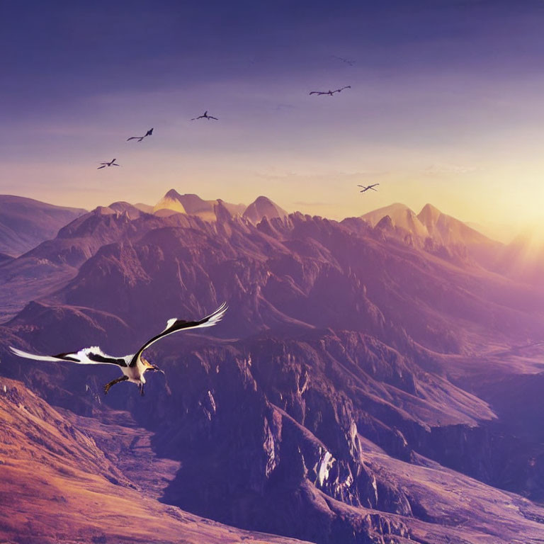 Eagle flying over rugged mountain landscape at sunrise or sunset