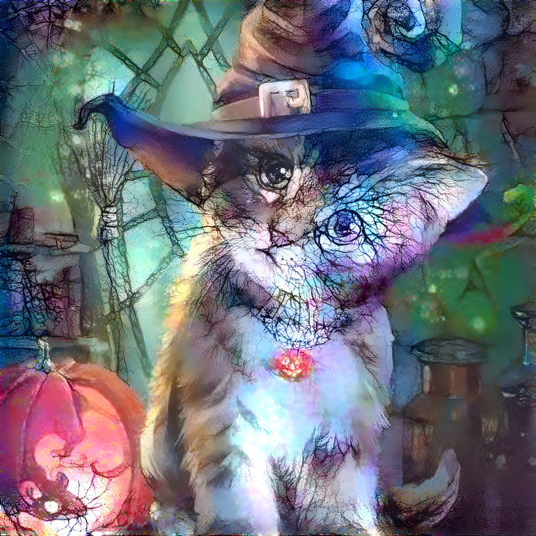 Halloween Kitty