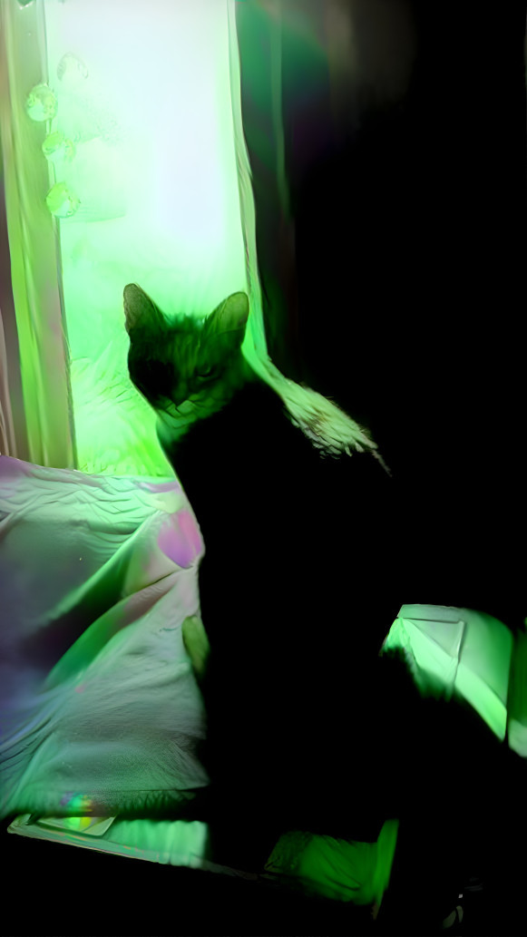 Glow Cat