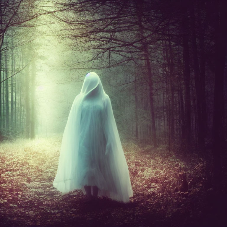 Ghostly Figure in White Cloak Stands in Misty Forest