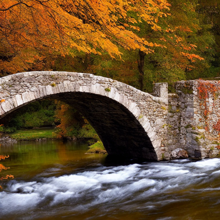 Stone arch bridge over river with autumn foliage