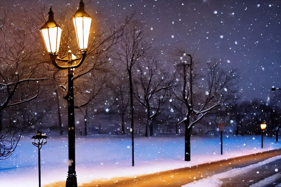 Snowy Park at Night: Warm Street Lamps & Falling Snow in Bare Trees