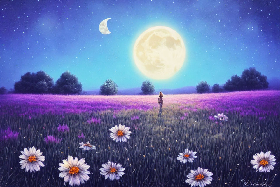 Person in vibrant purple lavender field under starry sky with full moon and white flowers.