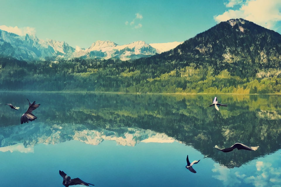 Scenic mountain lake with trees, peaks, birds, and reflections