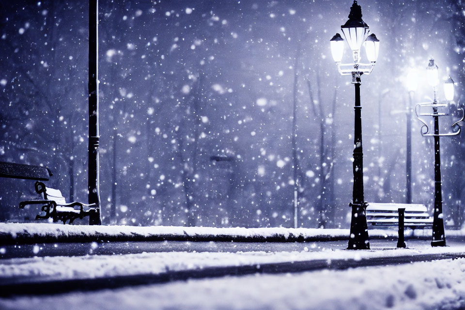 Snowy Winter Night Park Scene with Glowing Street Lamps