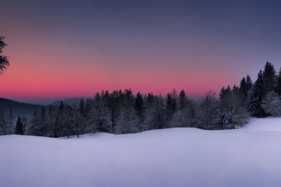 Snowy Twilight Landscape with Silhouetted Evergreen Trees