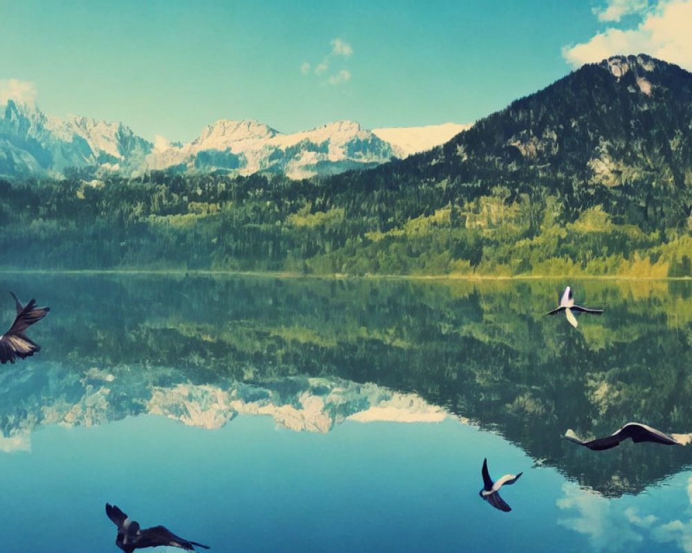 Scenic mountain lake with trees, peaks, birds, and reflections