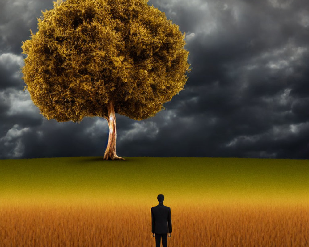 Figure in golden wheat field gazes at lush tree under stormy sky