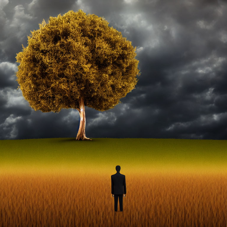 Figure in golden wheat field gazes at lush tree under stormy sky