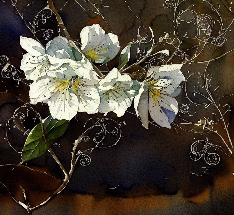 Delicate white flowers with brown twigs in watercolor art