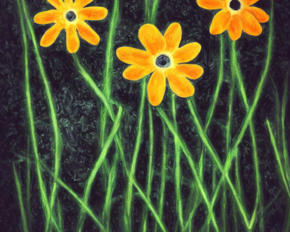 Orange Daisy-Like Flowers on Black Textured Background