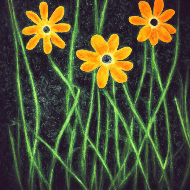 Orange Daisy-Like Flowers on Black Textured Background