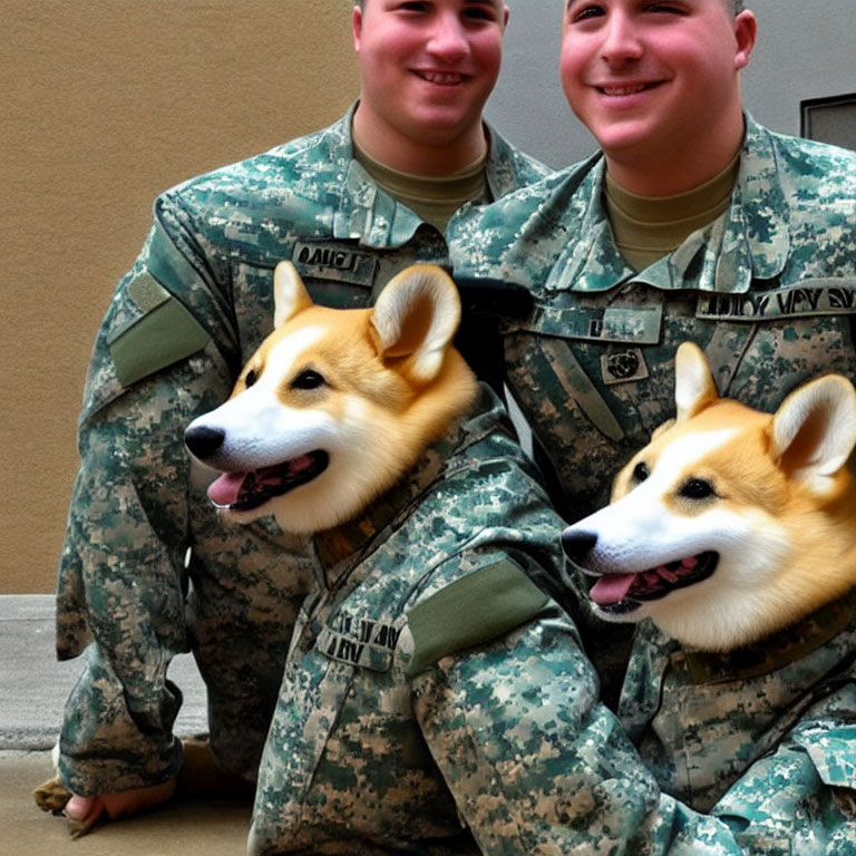 Smiling corgis in military uniforms with soldiers in background