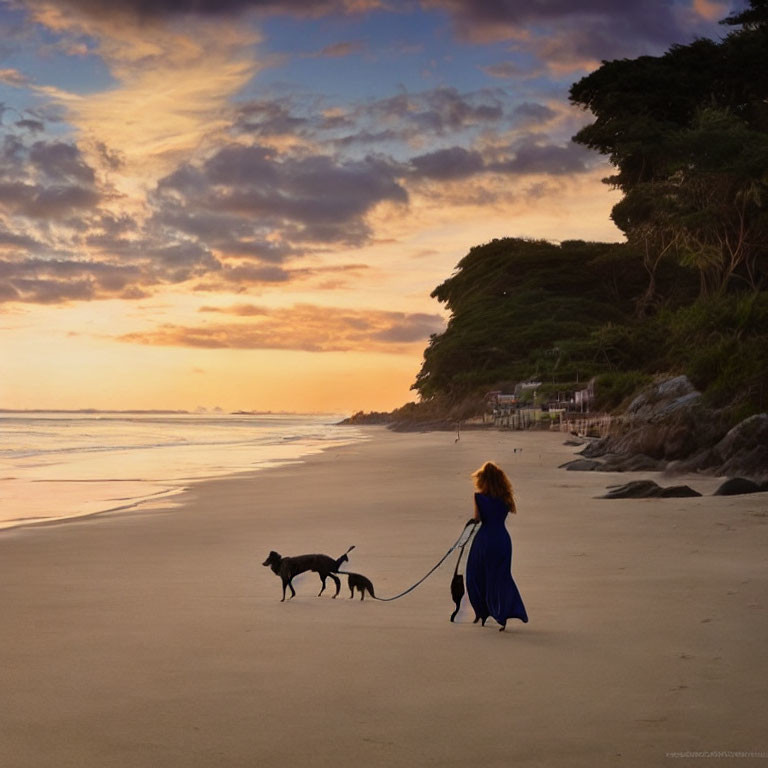 Woman in blue dress walking dogs on beach at sunset