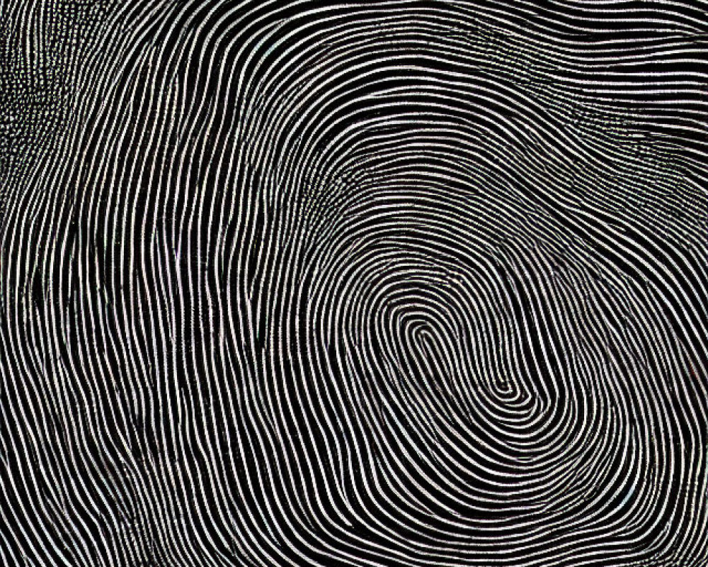 Monochrome abstract art with undulating lines for optical illusion.