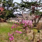 Colorful impressionist painting of lush garden with blooming flowers and pathway.