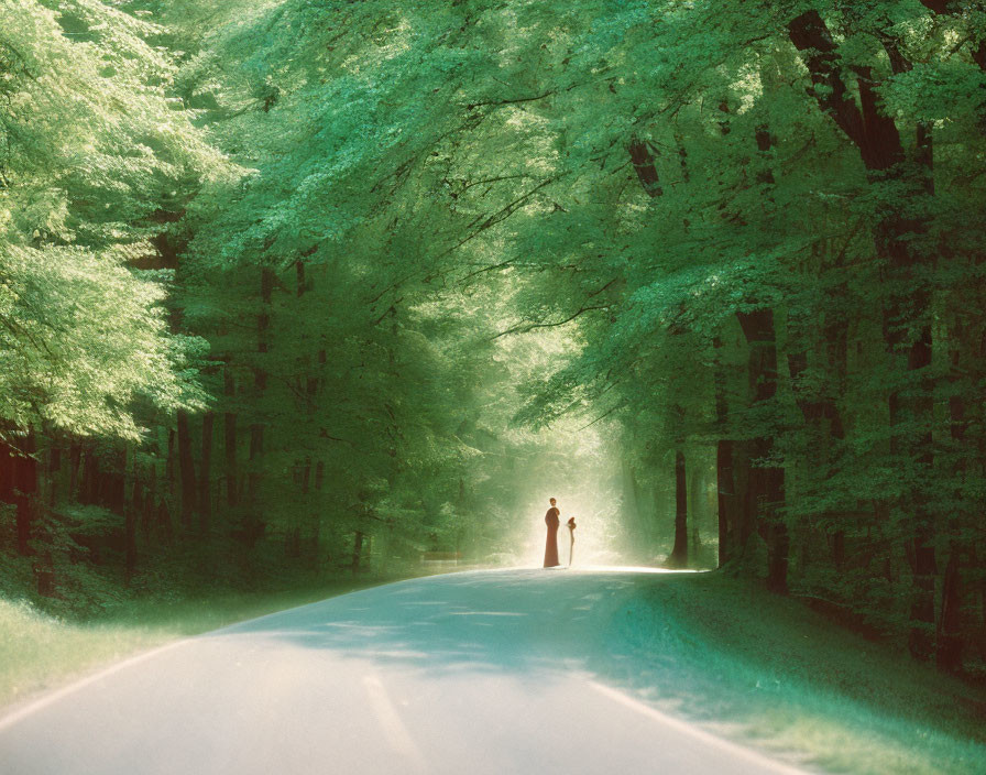 Sunlit Road Through Lush Green Forest with Silhouetted Figures