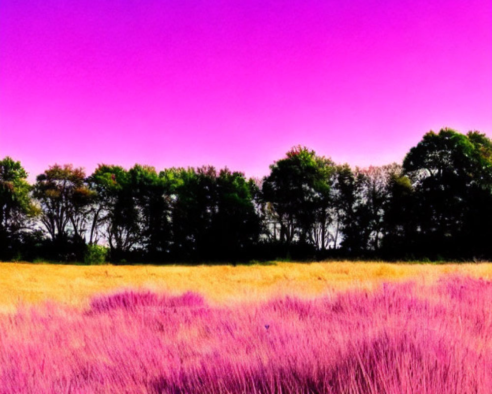 Stylized landscape with purple-pink sky, magenta grass, and silhouetted trees