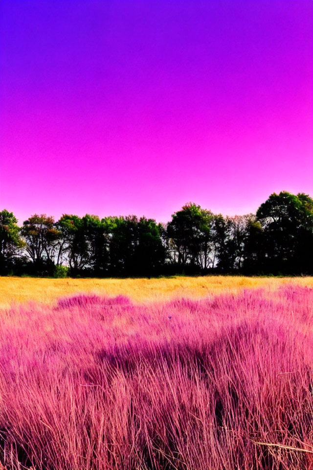 Stylized landscape with purple-pink sky, magenta grass, and silhouetted trees