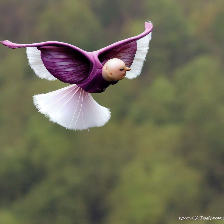 Whimsical flying figure with bulbous head and purple wings on green background