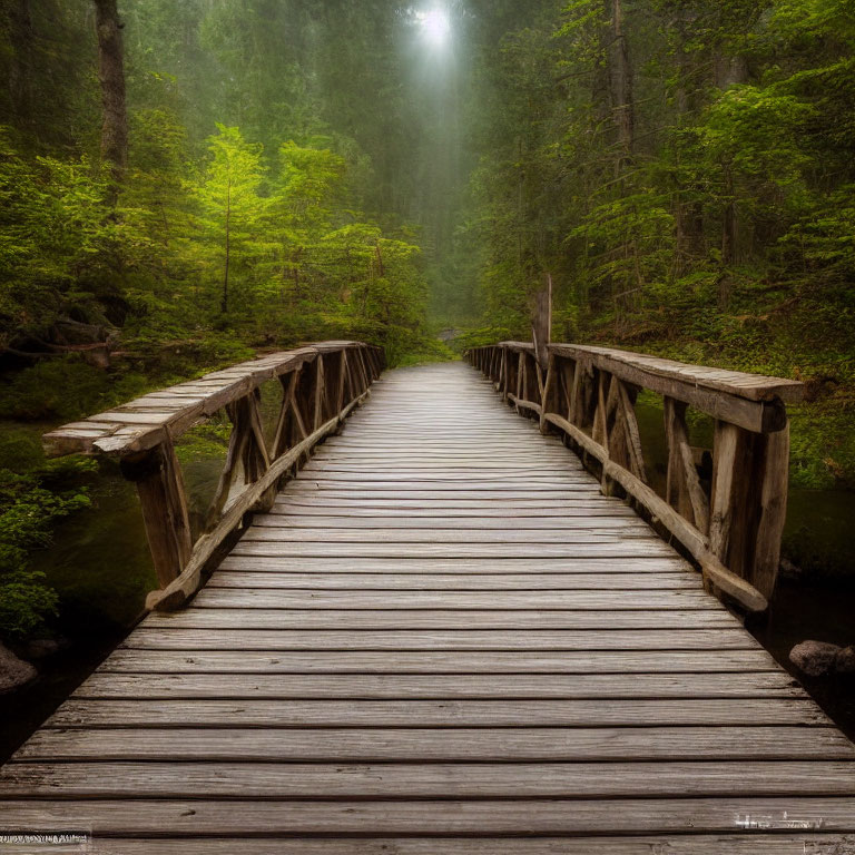 Misty forest scene with rustic wooden bridge in serene setting