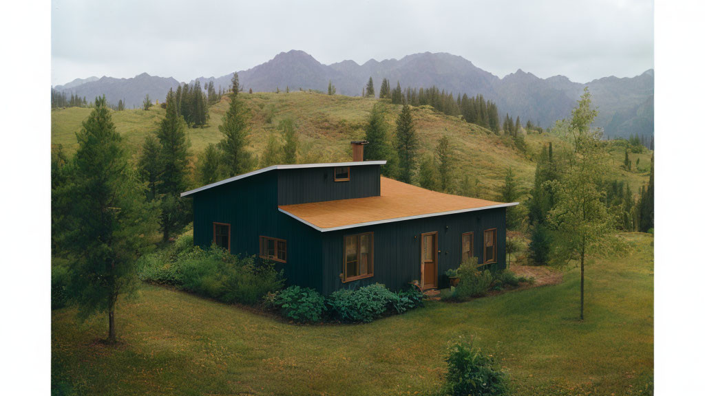 Dark Green House in Lush Meadow with Mountainous Backdrop