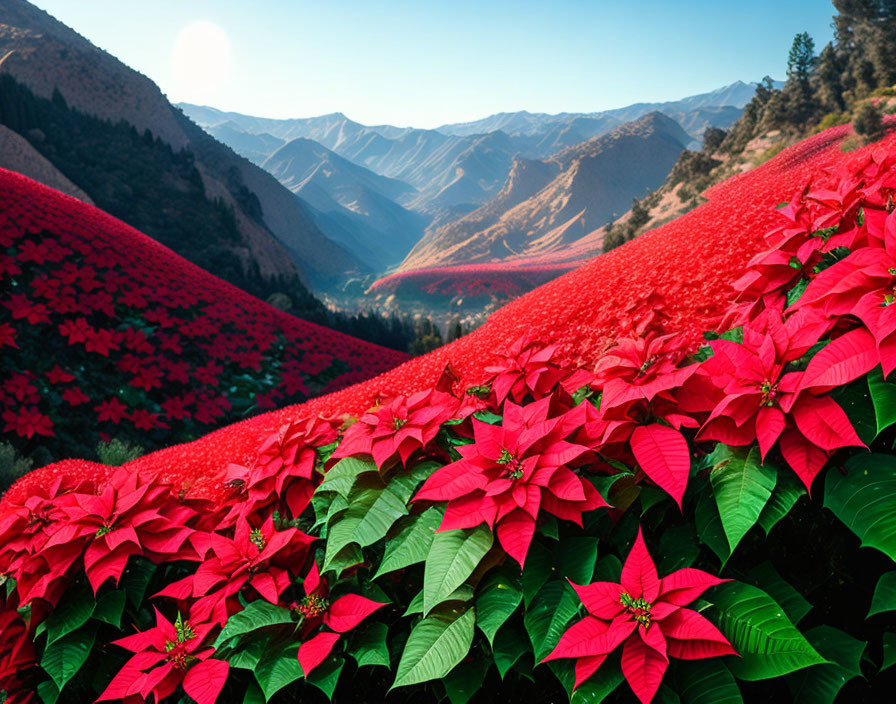 Scenic sunrise over vibrant valley with red flowers and mountains