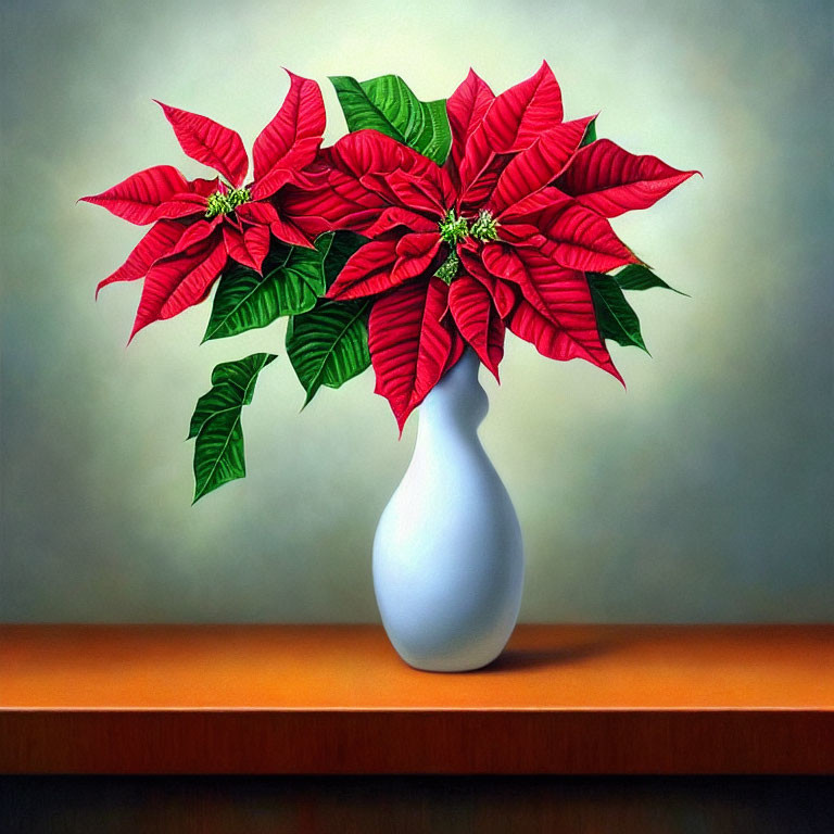 Vibrant red poinsettia flowers in white vase on wooden table