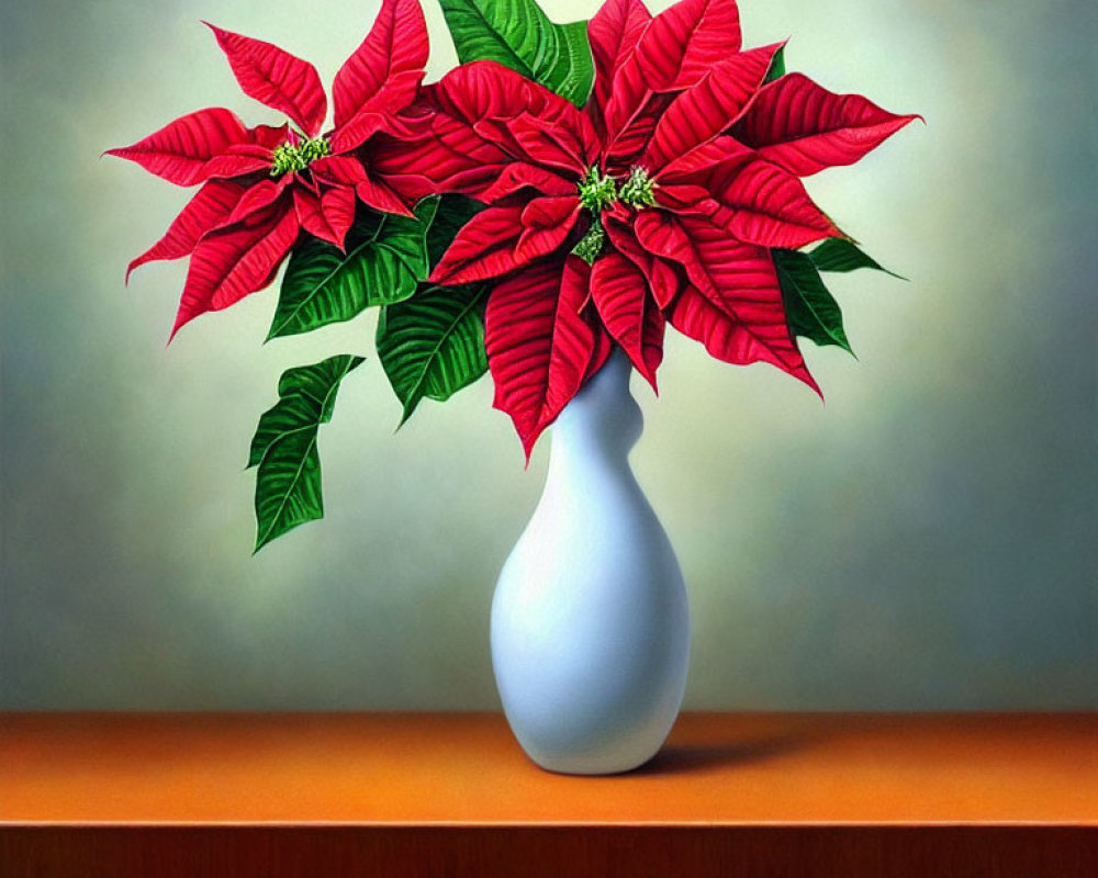 Vibrant red poinsettia flowers in white vase on wooden table