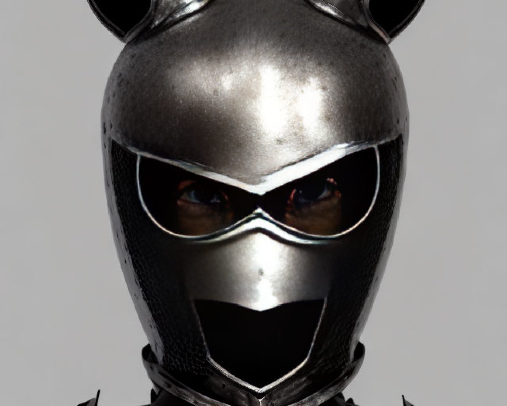 Medieval knight in cat-themed armor with helmet and mask