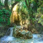 Tranquil forest landscape with sunlight, rocks, and pond