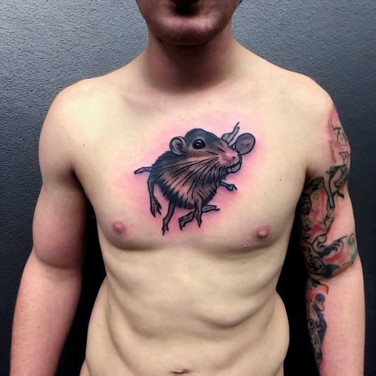 Brown rat with daisy tattoo on chest and sleeve peeking.