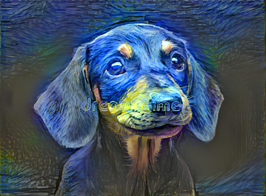 Dachshund