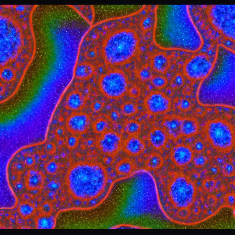 Microscopic Cells with Blue Nuclei and Red Cytoplasm on Dark Background