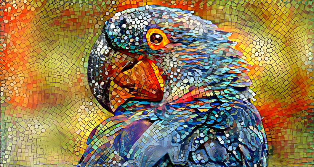 Mosaic Parrot