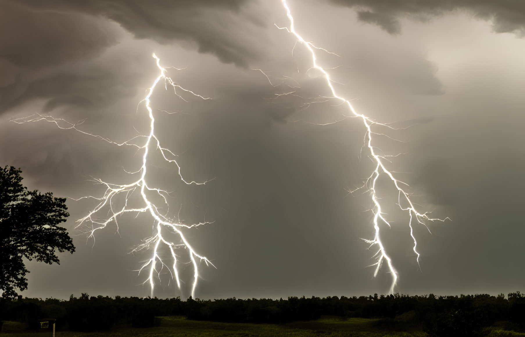 Nocturnal thunderstorm with two lightning strikes in cloudy sky